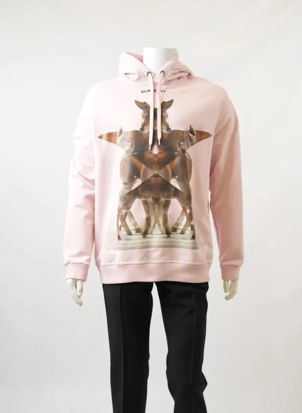 Burberry Eversham Graphic Print Hooded Sweater